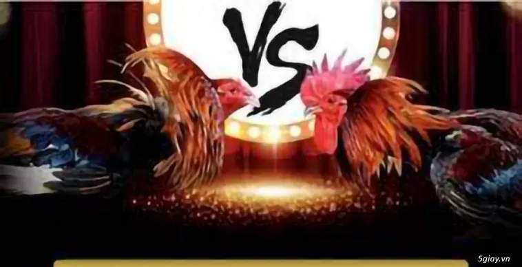 Cách Chơi Đá Gà GA28 Tại Luck8: Bí Kíp Thắng Cược Hấp Dẫn 2 Cách Chơi Đá Gà GA28 Tại Luck8: Bí Kíp Thắng Cược Hấp Dẫn