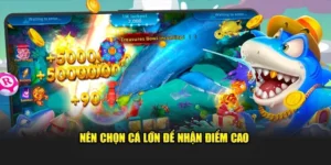 Hành Trình Săn Thưởng Với Cách Chơi Bắn Cá Đại Dương Luck8 Đỉnh Cao