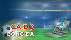 Bí Mật Cá Cược Bóng Đá Luck8: Hành Trình Chinh Phục Kèo Thắng Lớn