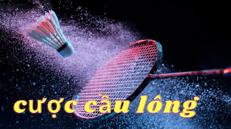 Bí Mật Thắng Cá Cược Cầu Lông Luck8 Dành Cho Người Mới