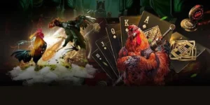 Hấp Dẫn Cách Chơi Đá Gà 3D Tại Luck8: Bí Quyết Thắng Lớn