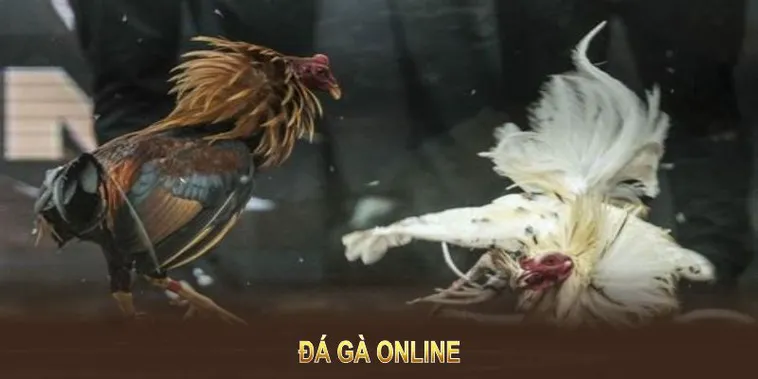 Cách Chơi Đá Gà WS168 Tại Luck8: Bí Quyết Cá Cược Thắng Lớn 2 Cách Chơi Đá Gà WS168 Tại Luck8: Bí Quyết Cá Cược Thắng Lớn