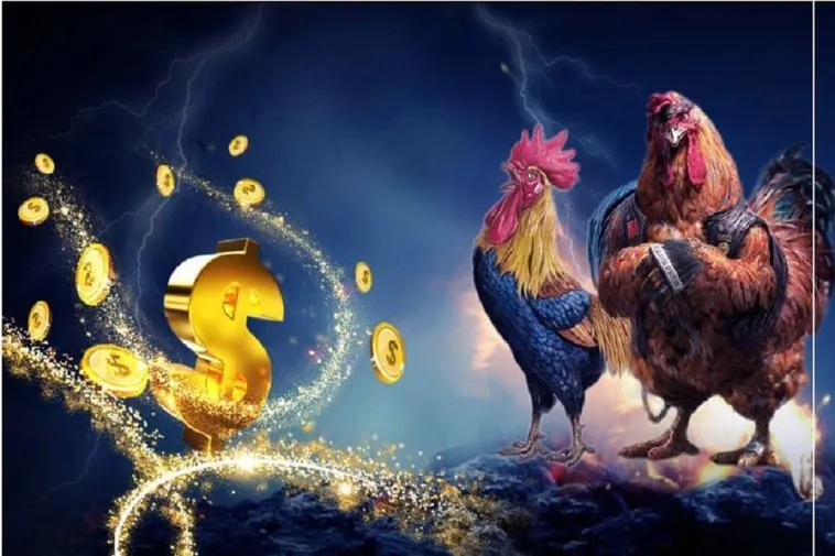 Cách Chơi Đá Gà WS168 Tại Luck8: Bí Quyết Cá Cược Thắng Lớn