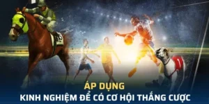 Bí Quyết Thắng Lớn Với Cá Cược Thể Thao Ảo Luck8 Hấp Dẫn