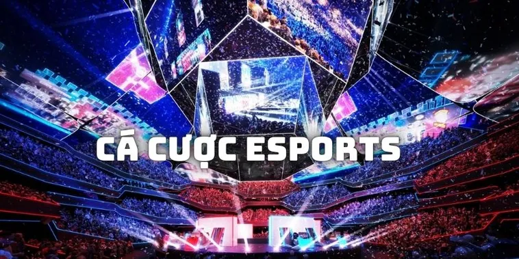 Hướng Dẫn Cá Cược Thể Thao Điện Tử Luck8 Thắng Lớn Nhanh Chóng 2 Hướng Dẫn Cá Cược Thể Thao Điện Tử Luck8 Thắng Lớn Nhanh Chóng